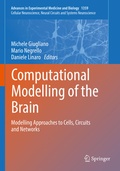 Cover: Computational Modelling of the Brain - Springer