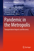 Cover: Pandemic in the Metropolis - Springer