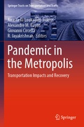 Cover: Pandemic in the Metropolis - Springer