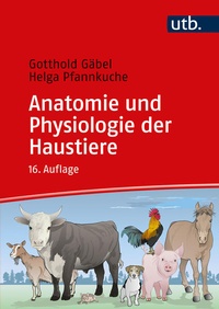 Bild vergrößern Bild: Anatomie und Physiologie der Haustiere - UTB
