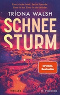 Cover: Schneesturm - S. Fischer