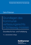 Cover: Grundlagen des Kommunalverfassungsrechts in Schleswig-Holstein - Deutscher Gemeindeverlag