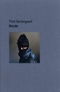 Cover: Trine S&oslash;ndergaard  Strude - Det Paulsen Legaat