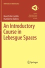 Cover: An Introductory Course in Lebesgue Spaces - Springer