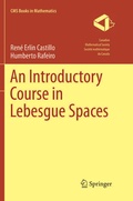 Cover: An Introductory Course in Lebesgue Spaces - Springer