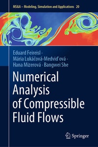 Enlarge image Cover: Numerical Analysis of Compressible Fluid Flows - Springer