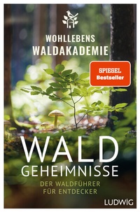 Abbildung von: Waldgeheimnisse - Ludwig