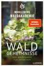 Bild: Waldgeheimnisse - Ludwig