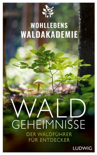 Bild vergrößern Bild: Waldgeheimnisse - Ludwig Buchverlag