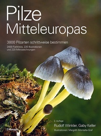 Bild vergrößern Bild: Pilze Mitteleuropas - Haupt Verlag