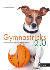 Abbildung von: Gymnastricks 2.0 - Kynos