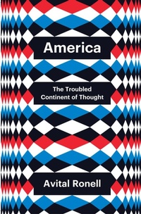 Enlarge image Cover: America - Polity Press