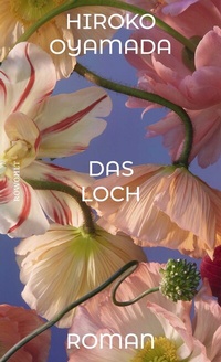 Abbildung von: Das Loch - Rowohlt