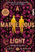 Cover: A Marvellous Light - Piper