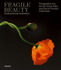 Abbildung von: Fragile Beauty - zerbrechliche Schönheit - Knesebeck
