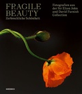 Cover: Fragile Beauty - zerbrechliche Sch&ouml;nheit - Knesebeck