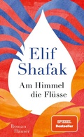 Cover: Am Himmel die Fl&uuml;sse - Hanser