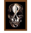 Cover: Alexander McQueen - Yale University Press