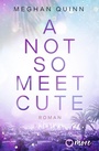 Cover: A Not So Meet Cute - more
