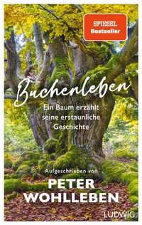 Bild vergrößern Bild: Buchenleben - Ludwig