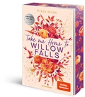 Cover: Willow-Falls-Reihe, Band 1 - Take Me Home to Willow Falls - Ravensburger