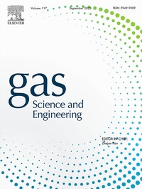 Abbildung von: Gas Science and Engineering - Elsevier