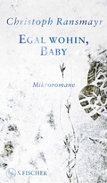 Cover: Egal wohin, Baby - S. Fischer