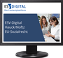 Cover: ESV-Digital Hauck/Noftz EU-Sozialrecht - Jahresabonnement bei Kombibezug Print und Datenbank - Erich Schmidt Verlag