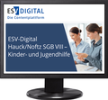 Bild: ESV-Digital Hauck/Noftz SGB VIII - Kinder- und Jugendhilfe AI - Jahresabonnement bei Kombibezug Print und Datenbank - Erich Schmidt Verlag