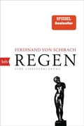 Cover: Regen - btb