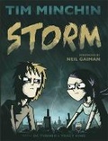 Cover: Storm - Orion