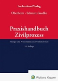 Abbildung von: Praxishandbuch Zivilprozess - Luchterhand