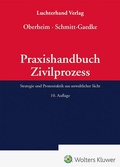Cover: Praxishandbuch Zivilprozess - Luchterhand