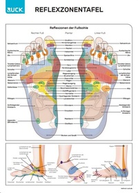 Enlarge image Cover: Ruck-Reflexzonentafel - Hellmut Ruck