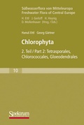 Cover: S&uuml;&szlig;wasserflora von Mitteleuropa, Bd. 10: Chlorophyta II - Spektrum Akademischer Verlag