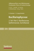 Cover: S&uuml;&szlig;wasserflora von Mitteleuropa, Bd. 02/2: Bacillariophyceae - Spektrum Akademischer Verlag