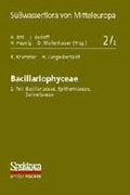 Cover: S&uuml;&szlig;wasserflora von Mitteleuropa, Bd. 2/2: Bacillariophyceae - Spektrum Akademischer Verlag
