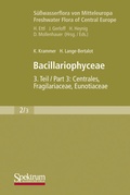 Cover: Bacillariophyceae - Spektrum Akademischer Verlag