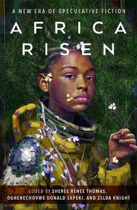 Enlarge image Cover: Africa Risen - St Martin's Press