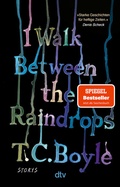 Cover: I Walk Between the Raindrops - dtv