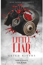 Cover: Little Liar - VAJONA