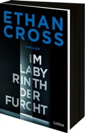 Cover: Im Labyrinth der Furcht - L&uuml;bbe