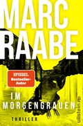 Cover: Im Morgengrauen (Art Mayer-Serie 4) - Ullstein extra