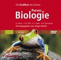 Cover: Purves Biologie Bild-DVD - Springer Spektrum