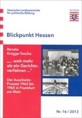 Cover: "...weit mehr als ein Gerichtsverfahren..." - Hessische Landeszentrale f. polit. Bild.