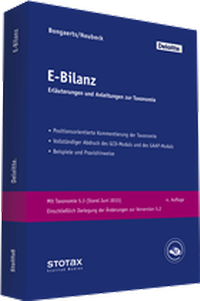 Bild vergrößern Bild: E-Bilanz - Stollfuß
